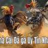 Tiến lên bộ môn game chiếm sóng trên khắp game trường online