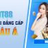Giới thiệu về nhà cái cá cược MOT88 ở thị trường cá cược Việt Nam